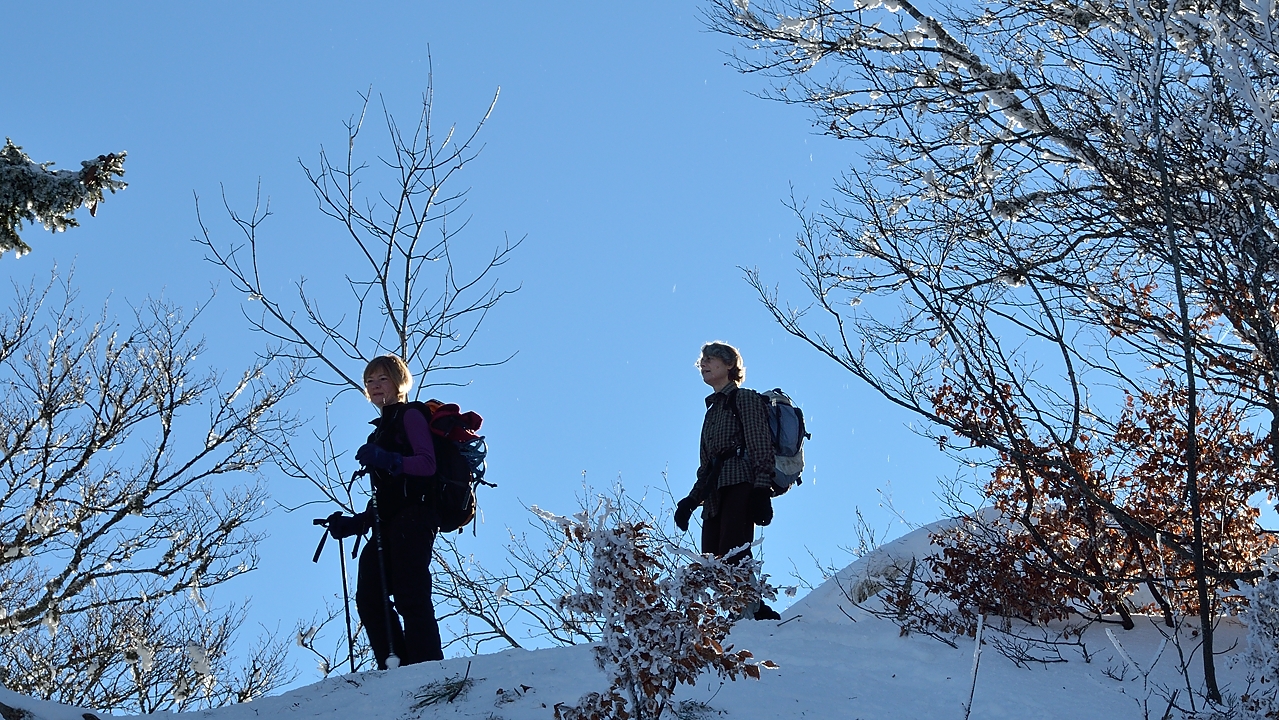 20150101-027-Pinea.jpg