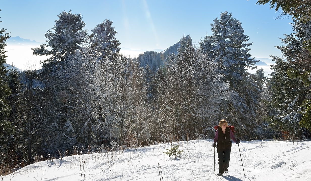 20150101-033-Pinea.jpg - La jolie Aiguille de Pinea avec differents decors ...