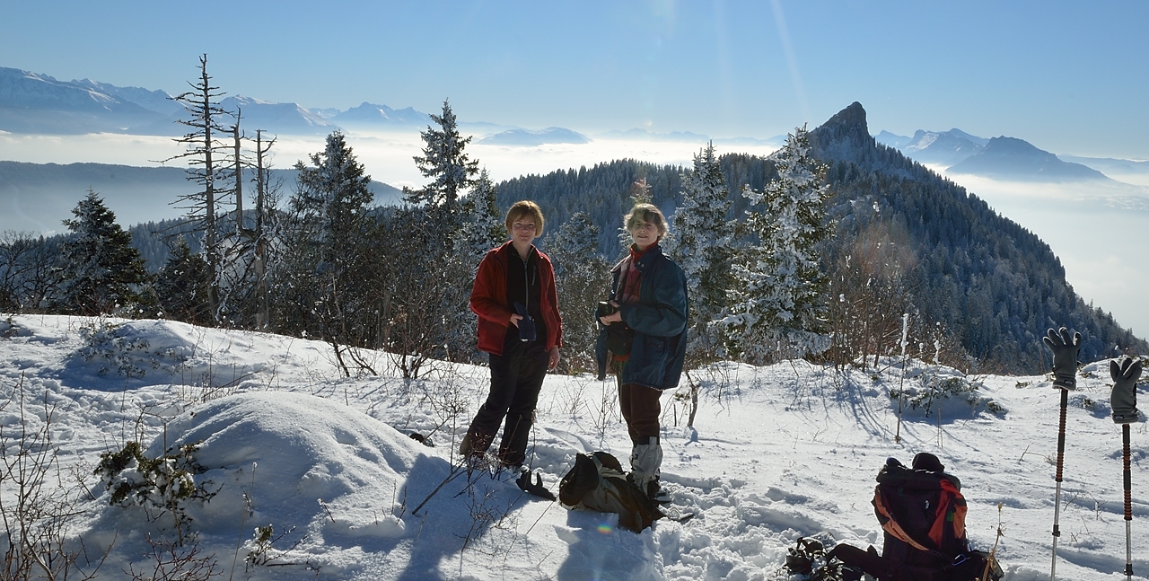 20150101-036-Pinea.jpg -  ...