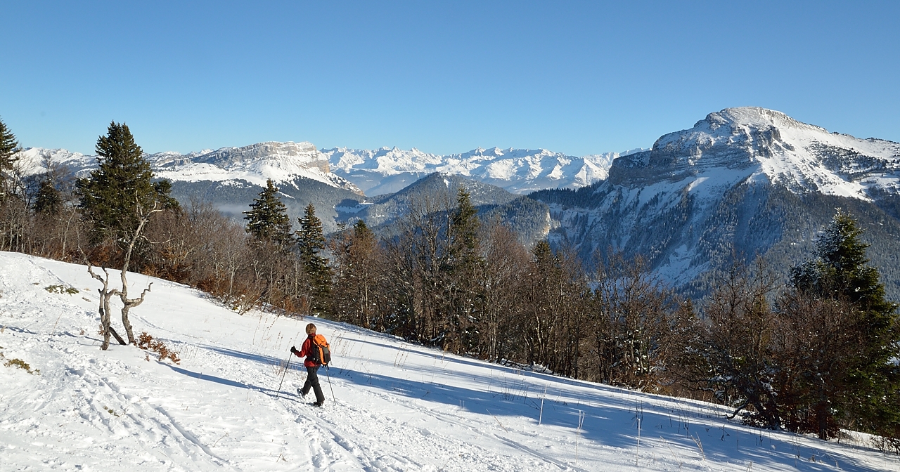 20150101-041-Pinea.jpg - Dent de Crolles et Chamchaude ... et au fond Belledonne