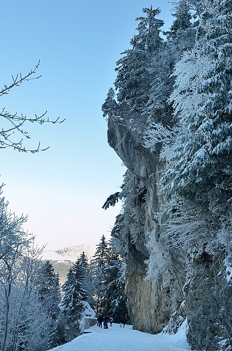 20150101-044-Pinea.jpg - Dans la descente sur la route a l'endroit le plus sombre