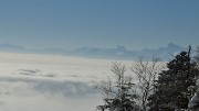 20150101-009-Pinea