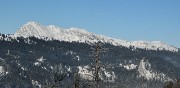20150101-013-Pinea