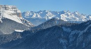 20150101-023-Pinea