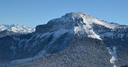 20150101-024-Pinea