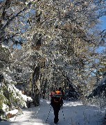20150101-030-Pinea