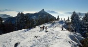 20150101-039-Pinea