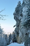 20150101-044-Pinea