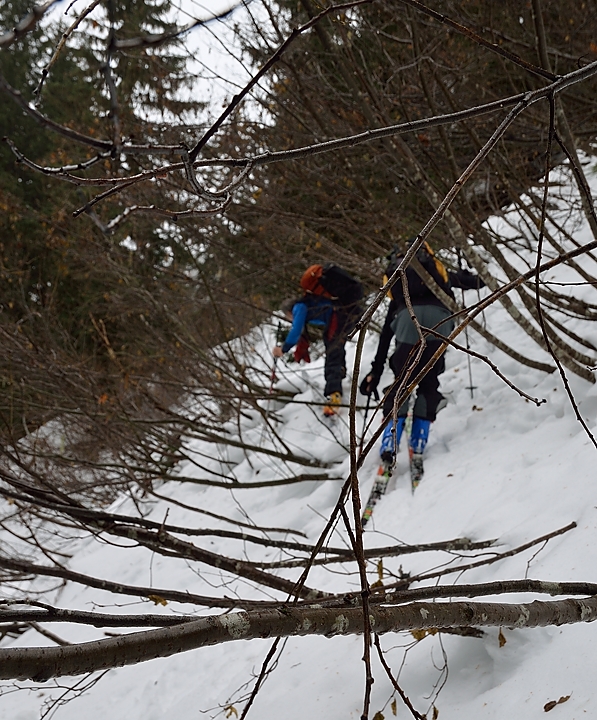 20150110-006-GrandeJournee.jpg - Il faut bien epicer un peu la montée qui autrement aurait eu lieu en bord de la piste  ... le temps s'éclaircit deja un peu