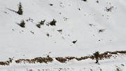 20150110-009-GrandeJournee