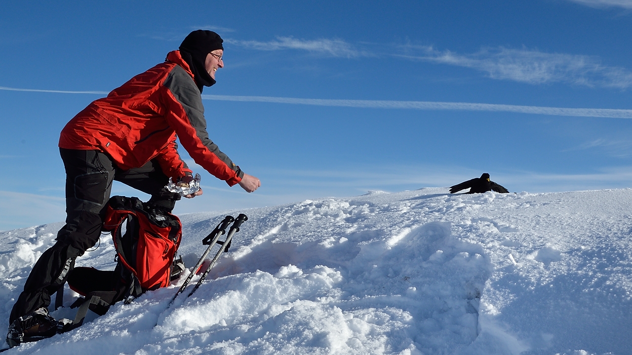 20150118-034-PicStMichel.jpg - ... et un visiteur a peine timide