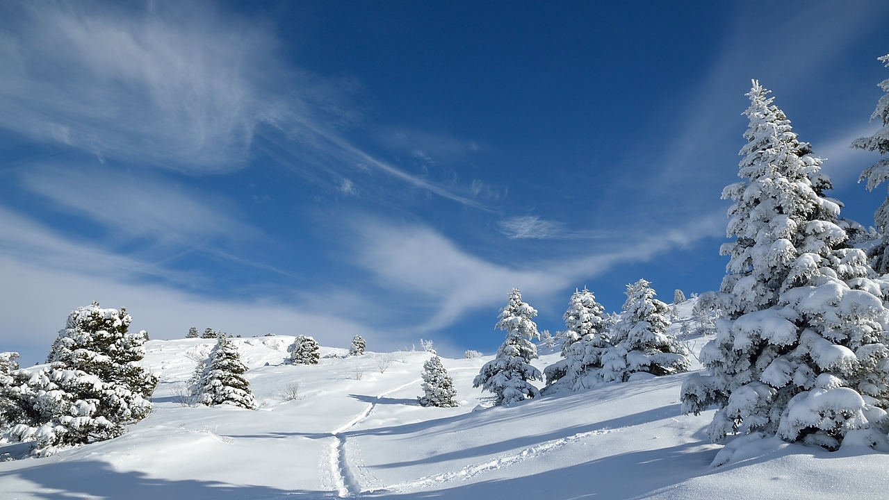 20150118-046-PicStMichel.jpg -  ...