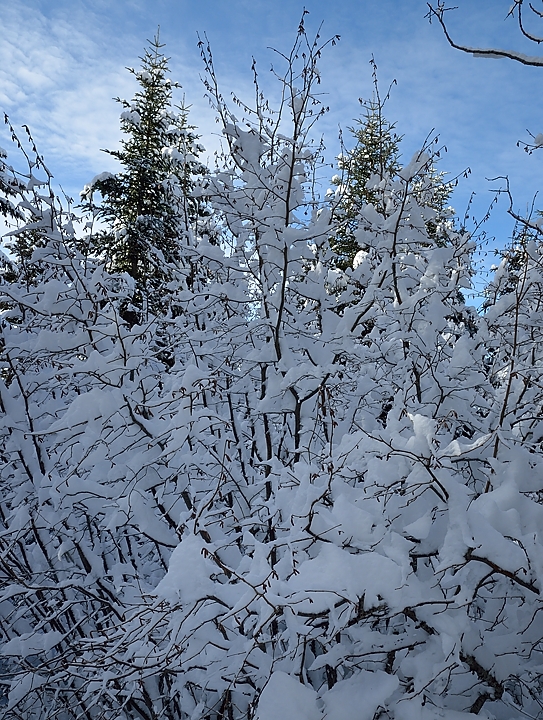 20150118-057-PicStMichel.jpg