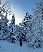 20150118-003-PicStMichel