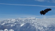 20150118-032-b-PicStMichel