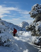 20150118-043-PicStMichel