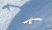 20150118-051-PicStMichel