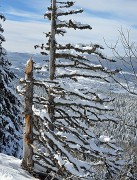 20150118-053-PicStMichel