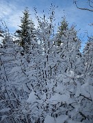 20150118-057-PicStMichel