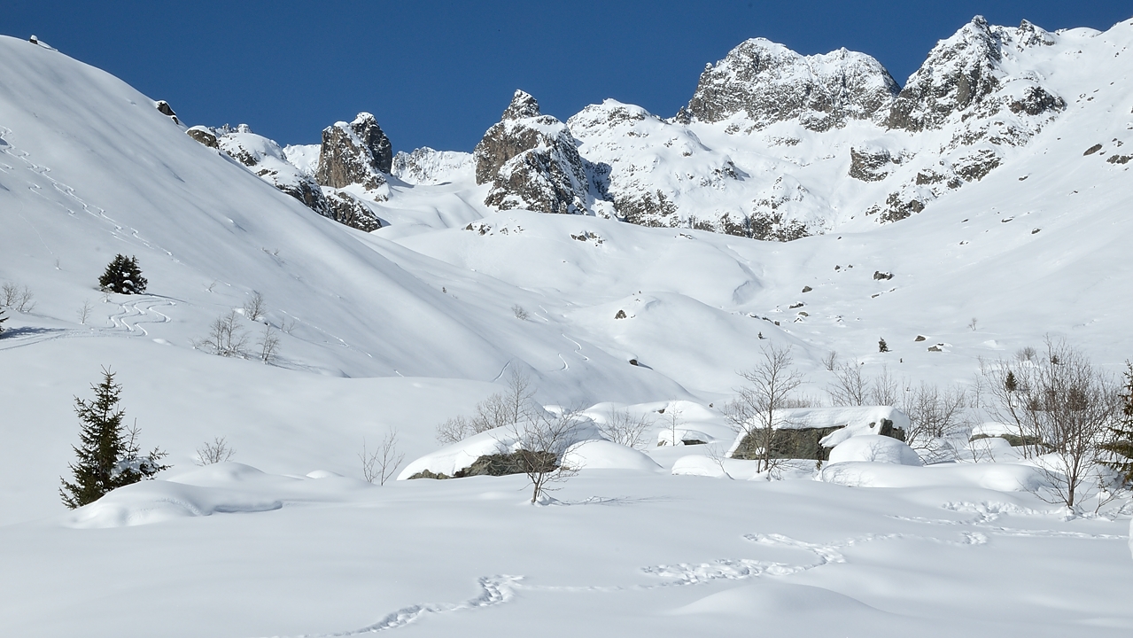 20150207-028-ColTepey.jpg - De retour vers le "coin du chamois" --- on ne retrouve pas l'endroit exacte mais on voit une partie de la trace de ce chamois qui a tournee en rond dans tout le perimetre