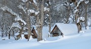 20150207-030-ColTepey