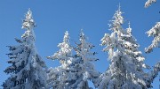 20150208-008-GrandRocher