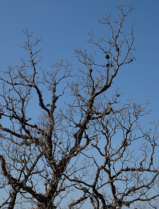 20150312-013-StEynard.jpg