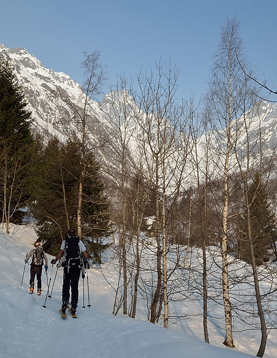 20150314-006-Aup-du-Pont.jpg - En montant la foret devient moins dense, les frenes sont remplaces par les bouleaux, et la vue sur les montagnes se decouvre