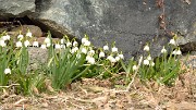 20150314-032-Aup-du-Pont