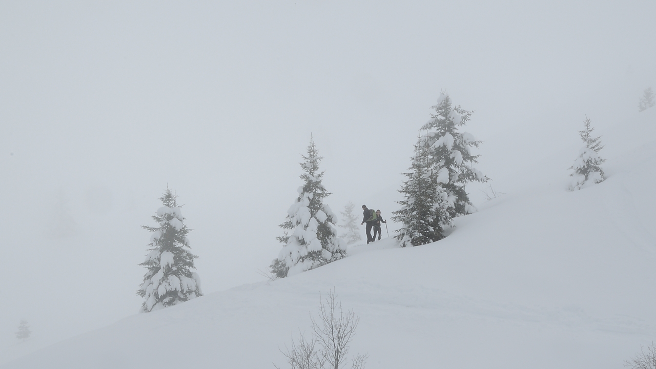 20150406-034-BelleEtoile.jpg - A la fin de la traversee, avant d'atteindre la piste, nous traversons une bande de brouillard