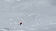 20150406-030-BelleEtoile