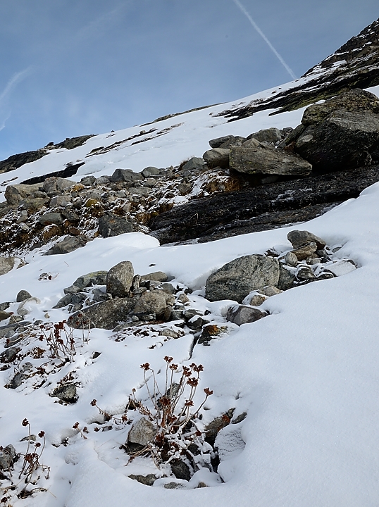 20150509-011-Francesetti.jpg - Sur l'epaule du Mont Seti