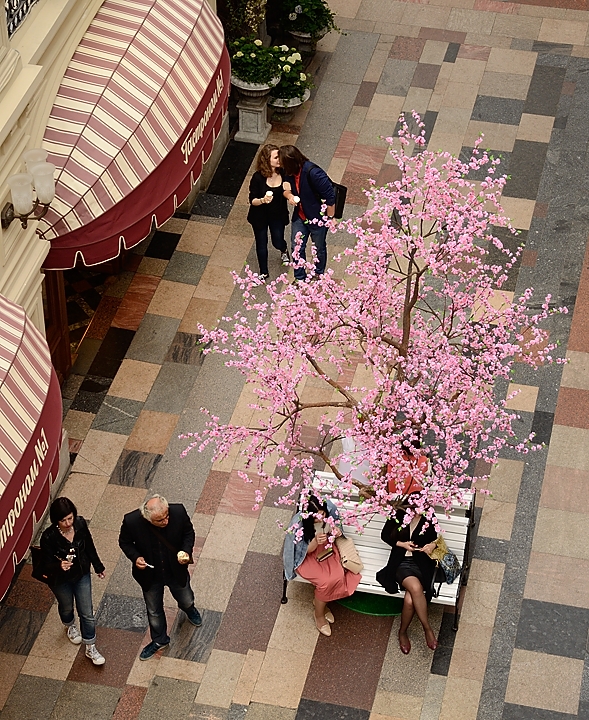 20150523-226-Moscou.jpg -   ...