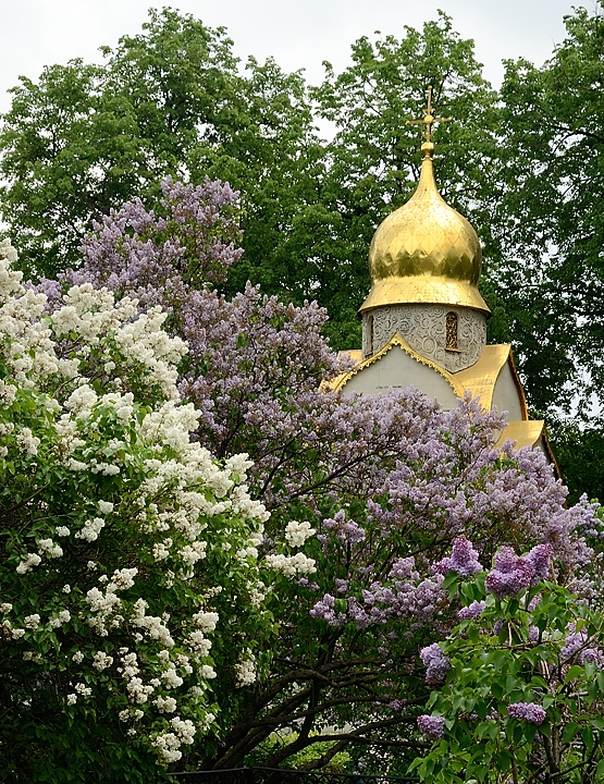 20150524-319-Moscou.jpg -  ... and chapels