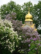20150524-319-Moscou