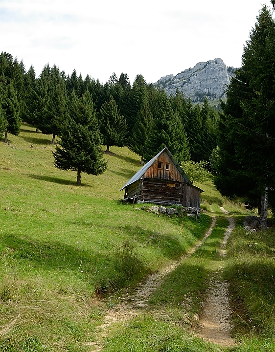 20150827-008-MontJulioz.jpg - Puis les Bauges campagnardes vers le col de Bornette et sur le  chemin du retour