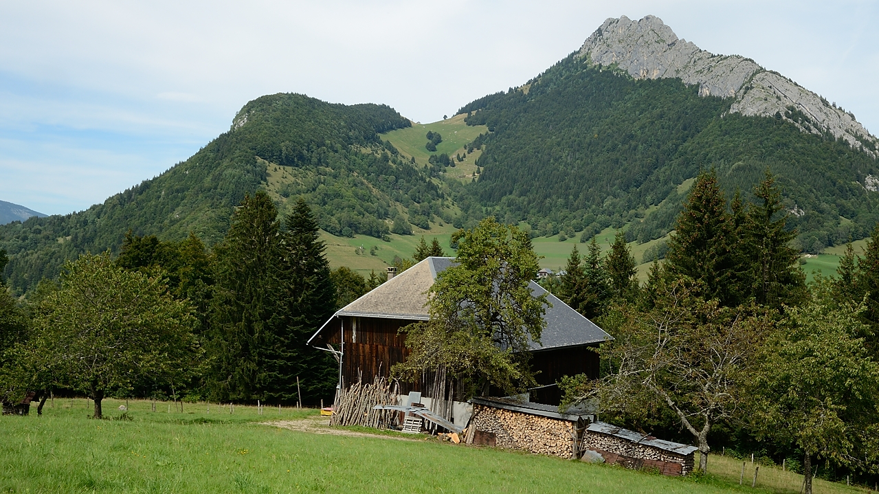 20150827-012-MontJulioz.jpg -     ...