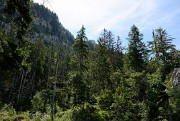 20150827-007-MontJulioz