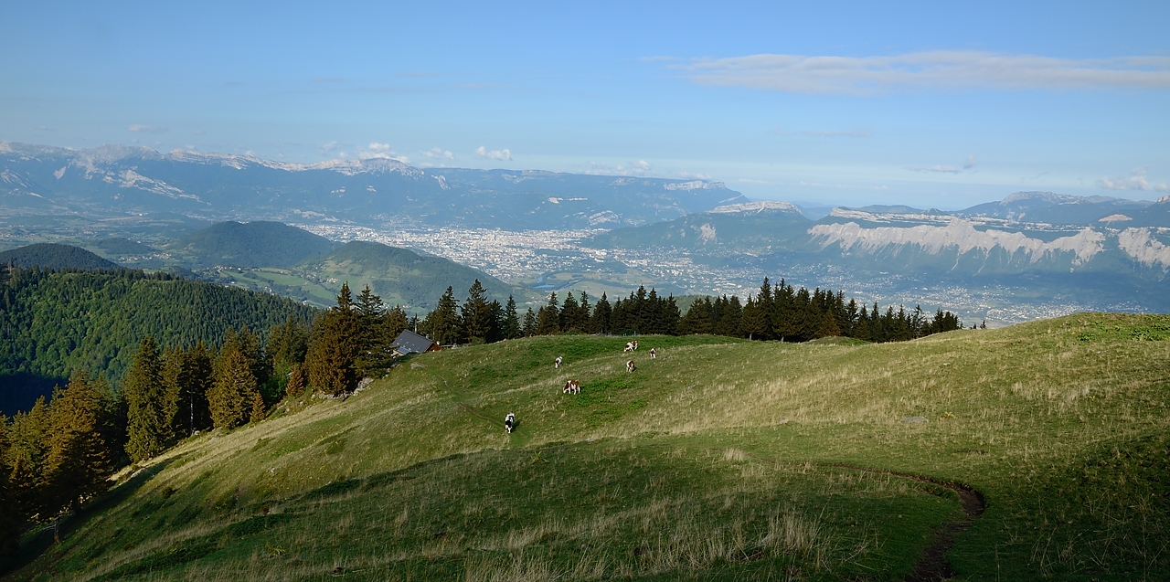 20150905-002-Col-du-Loup.jpg - Dans le pre juste au-dessus du refuge du Pre du Molard : une belle vue sur Grenoble 