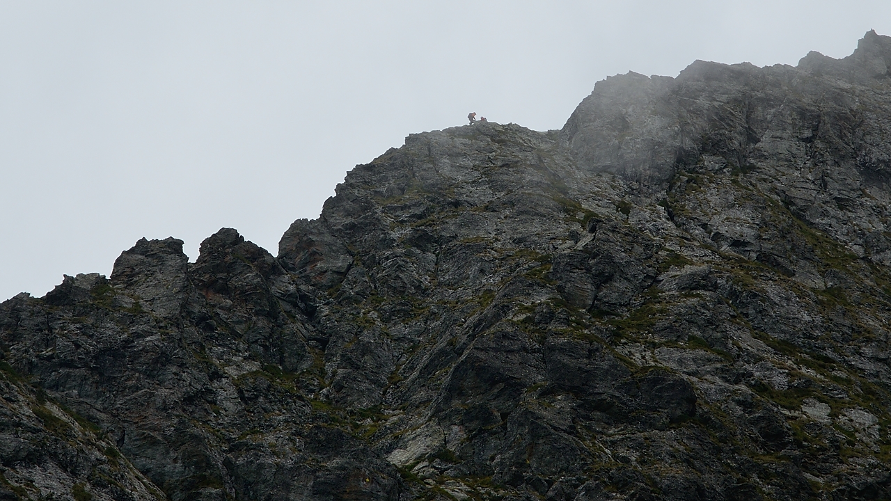 20150905-012-Col-du-Loup.jpg - Drole de betes qu'on apercoit sur l'arete qui doit mener a la Petite Lance