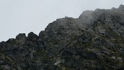 20150905-012-Col-du-Loup