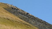 20150919-004-TeteVallon