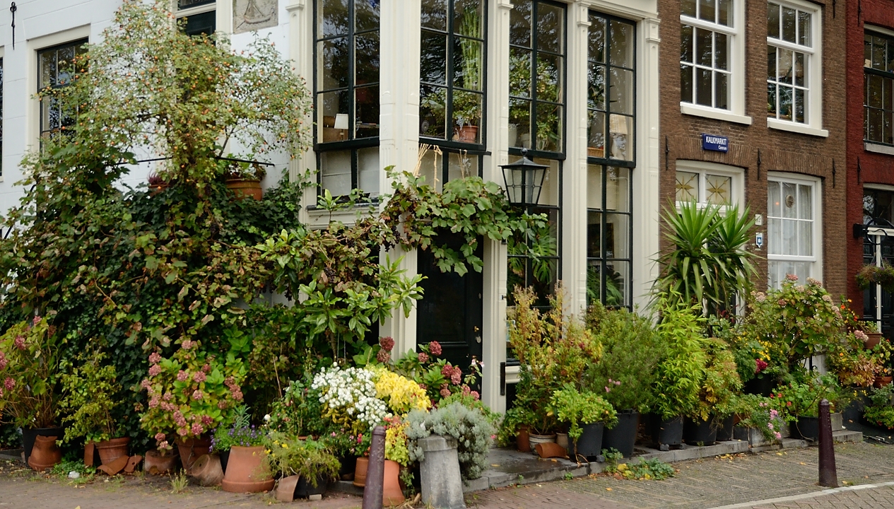 20151008-034-Amsterdam.jpg - Probably the winner of the contest of "the most flowered house"