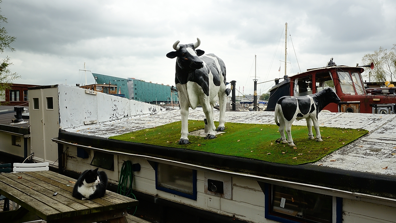 20151008-053-Amsterdam.jpg -  ...
