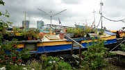 20151008-054-Amsterdam