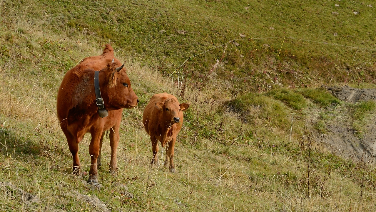 20151011-011-MontCoin.jpg -  ... c'est des montagnes habitees ...