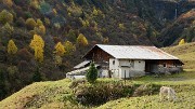 20151011-015-MontCoin