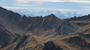 20151011-029-MontCoin