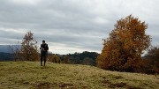 20151018-004-Arith-Bauges