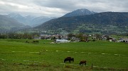 20151018-007-Arith-Bauges